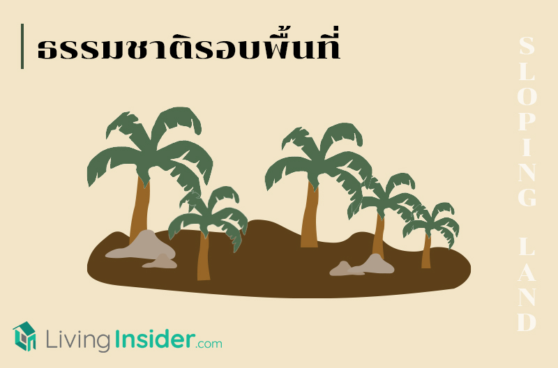 เรื่องน่ารู้ก่อนซื้อที่ดินต่างระดับ (Sloping Land)