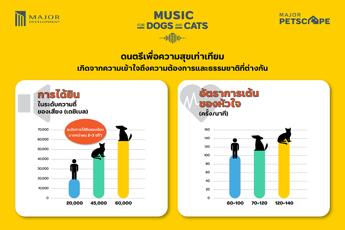 เมเจอร์ ดีเวลลอปเม้นท์ เปิดตัว “Music for Dogs & Cats” เพลย์ลิสต์เพลงบรรเลงฟังเพลินในบ้าน-คอนโด