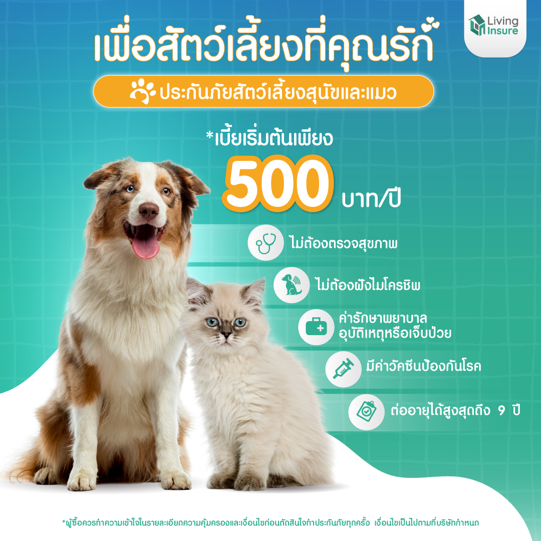 ตลาดสัตว์เลี้ยง กับค่าใช้จ่ายรักษาพยาบาลที่สูงขึ้นทุกปี