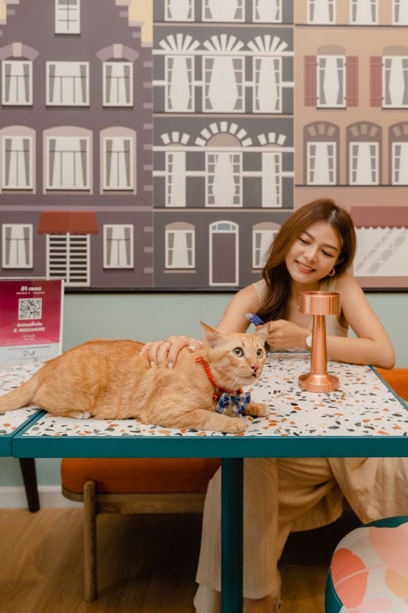 ส่องเทรนด์ Pet Friendly  จากแสนสิริ เปิดเซลล์ แกลอรี ให้น้องๆ ช่วยเลือกบ้านด้วยกันได้แล้ว วันนี้!!