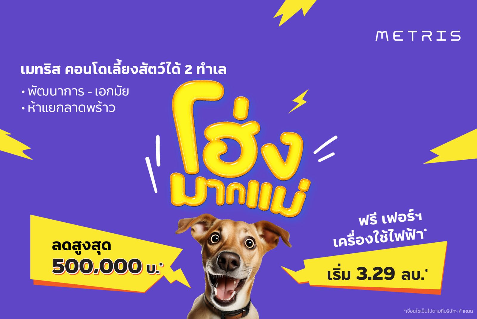 เมเจอร์ฯ บัญญัติเดือนแห่งสัตว์เลี้ยง ส่งความโฮ่งแบบ “คิด ครบ คุ้ม” กับ “MAJOR PET FAMILY SERVICES” สำหรับลูกบ้าน