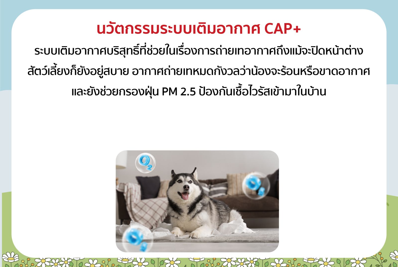 แลนดี้ โฮม จับมือ “Gluta Story” เปิดตัวแบบบ้านใหม่ พร้อมฟังก์ชัน “Pet Friendly” ตอบโจทย์คนรักสัตว์เลี้ยง