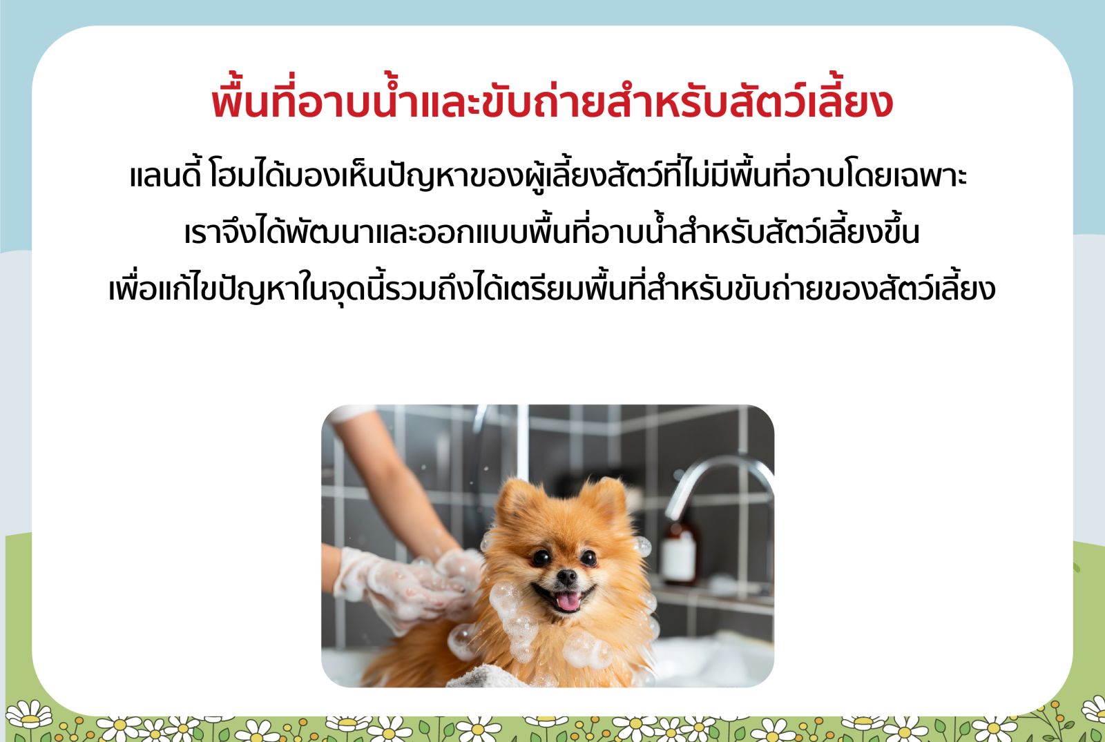 แลนดี้ โฮม จับมือ “Gluta Story” เปิดตัวแบบบ้านใหม่ พร้อมฟังก์ชัน “Pet Friendly” ตอบโจทย์คนรักสัตว์เลี้ยง