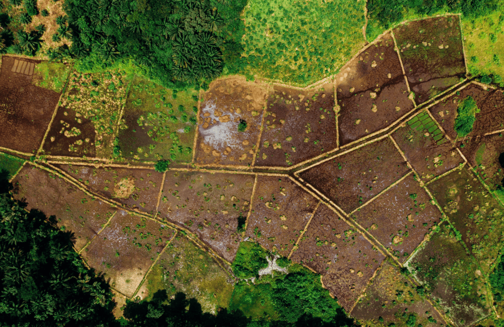 โฉนดครุฑแดง คืออะไร