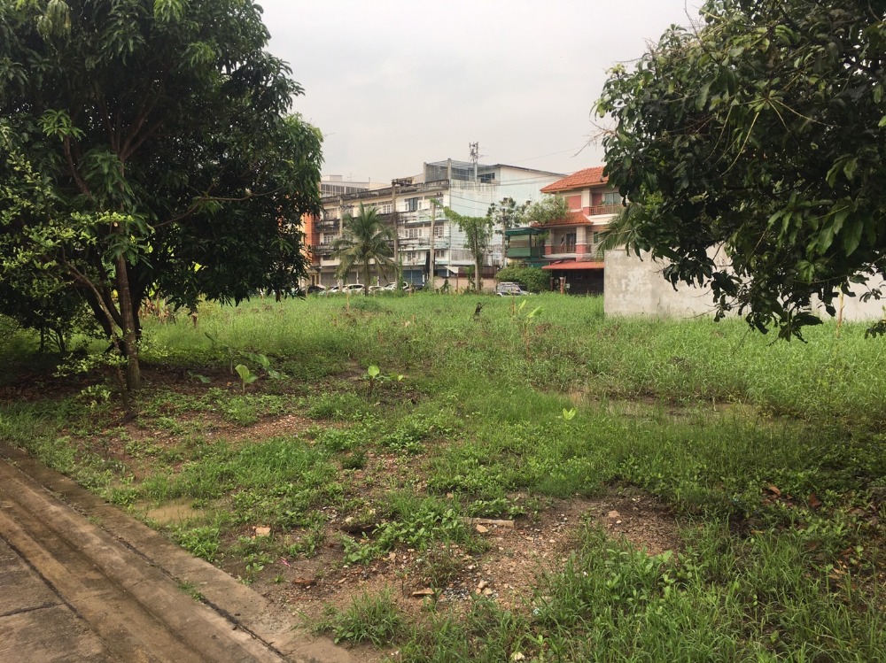 For SaleLandPhutthamonthon, Salaya : Owner Post +++Urgent Sale+++ Land for sale 72 sq w. Phutthamonthon Sai 3