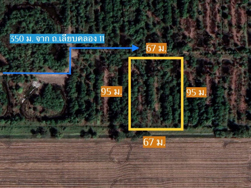 ขายที่ดินปทุมธานี รังสิต ธรรมศาสตร์ : ขาย ที่ดิน 4 ไร่ คลอง 11 หนองเสือ ปทุมธานี ใกล้ถนนเลียบคลอง 11 ราคาไม่แพง