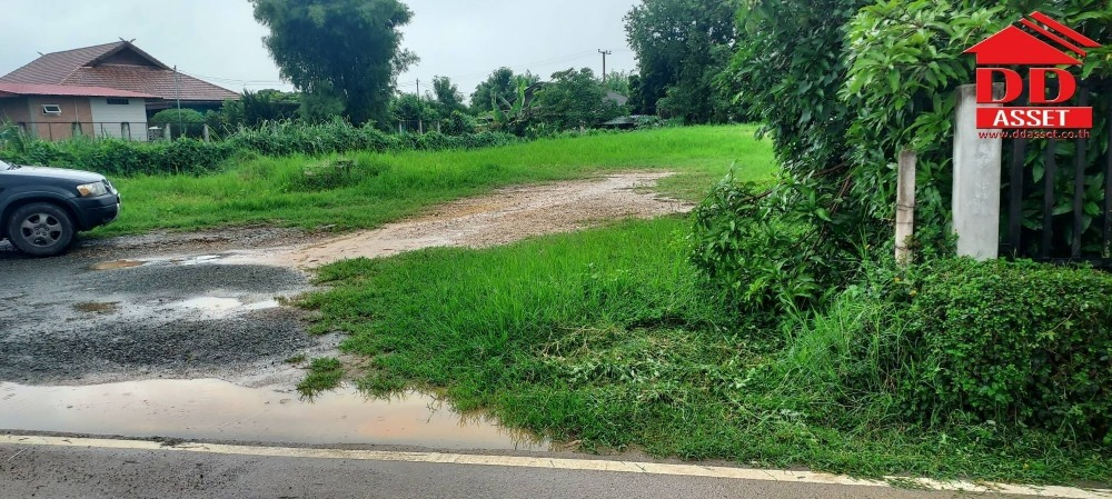 For SaleLandChiang Mai : Land for sale, area 298 sq.wa., Mae Faek Mai Subdistrict, San Sai District, Chiang Mai Province, land reclamation, next to a 4 lane road, 10 km from Mae Jo.