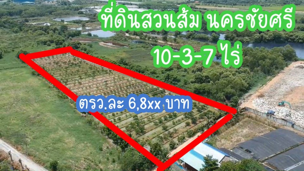 For SaleLandNakhon Pathom : Agricultural land for sale, planting whole oranges, hiring a caretaker in Nakhon Chai Si, Nakhon Pathom