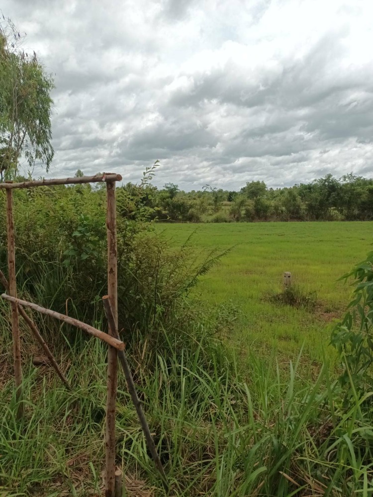 For SaleLandUbon Ratchathani : Vacant land, easy to travel through Land near Khlong Pla Khao Ubon Ratchathani Province