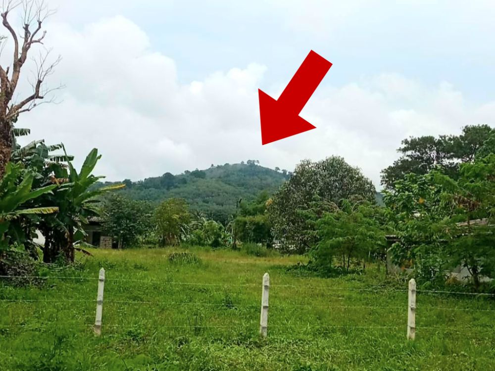 For SaleLandPhuket : Land for sale, Phuket, 20 rai, on a hill, beautiful, sea view, Si Sunthon Subdistrict, Thalang District, Land Nor Sor 3