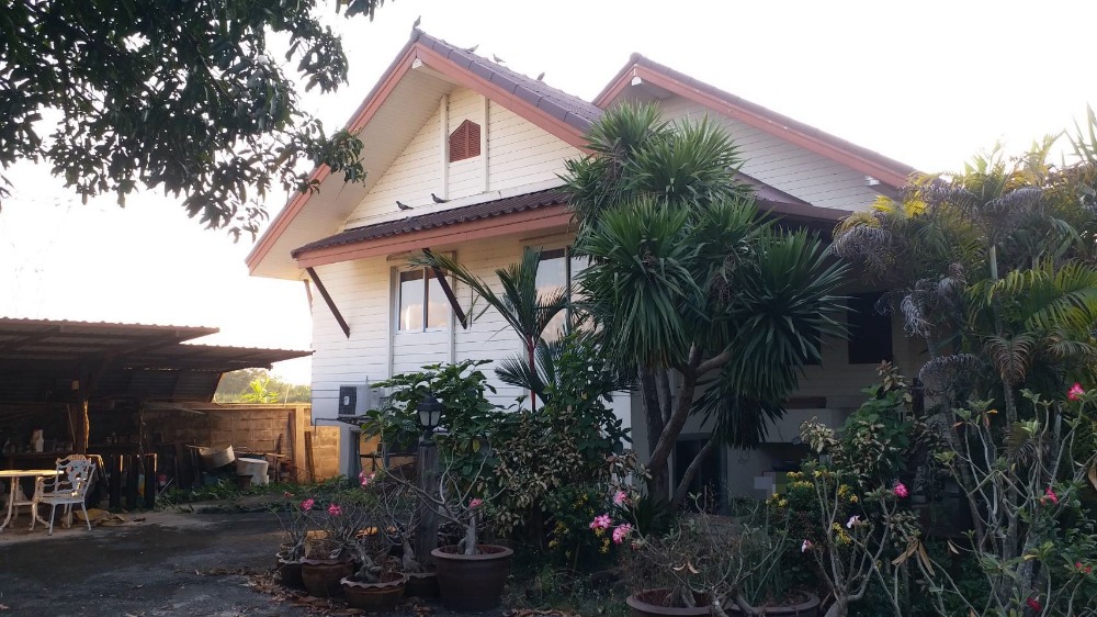 For SaleHousePathum Thani,Rangsit, Thammasat : PH3 for sale, detached house, Rangsit, Khlong 8 #self-built detached house, Pathum Thani #Single house Pathum Thani #Single house Nong Suea #Single house Bueng Bon