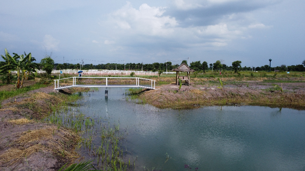 ขายที่ดินนครนายก : แปลงสุดท้าย ราคาพิเศษกับเทศกาลปีใหม่ ที่ดินสวยเพื่อการเกษียณ ชุมชน โคก-หนอง-นา ที่ดินนครนายก 2-1-19 ไร่ ถมแล้ว พร้อมปลูกบ้าน ทำเลดี ใกล้ตัวเมือง ติดถนนเลี่ยงเมือง-แยกสุพรรณิการ์