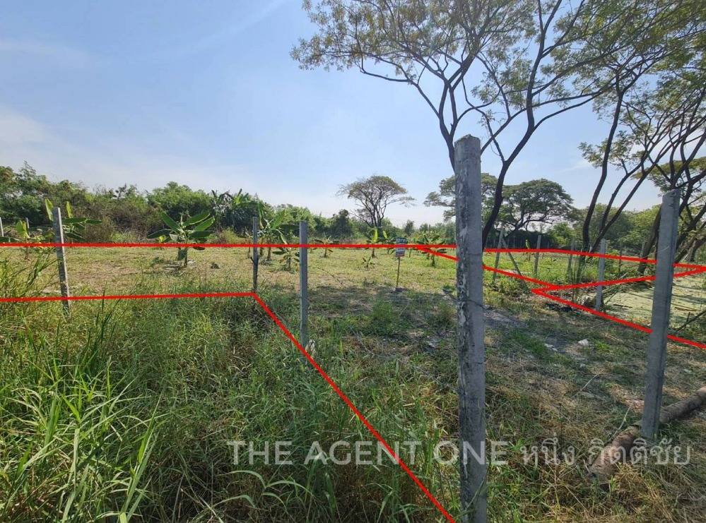 For SaleLandRama5, Ratchapruek, Bangkruai : #Quick sale #Empty land, 2 adjacent plots, area 1-2-91 rai, Soi Sin Kasetsart # Bang Kruai-Sai Noi Road, Bang Bua Thong, Nonthaburi