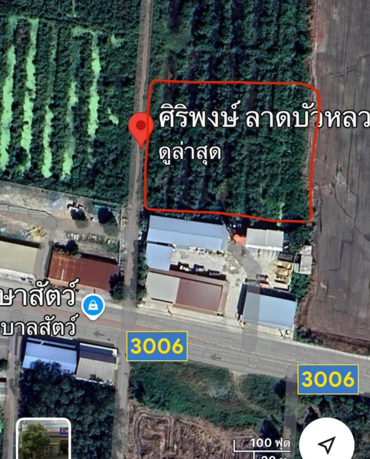 ขายที่ดินอยุธยา : ขายที่ดิน เจ้าของขายเอง ลาดบัวหลวง ติดถนน 3006 ทำเลดี