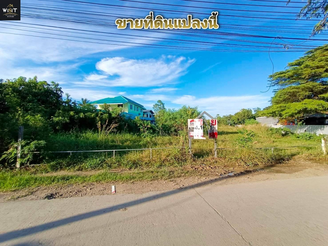 For SaleLandPathum Thani,Rangsit, Thammasat : Land for sale, area 1-1-45 rai, Soi Wat Bang Tei Nai, Sam Khok District, Pathum Thani Province, suitable for building a house.