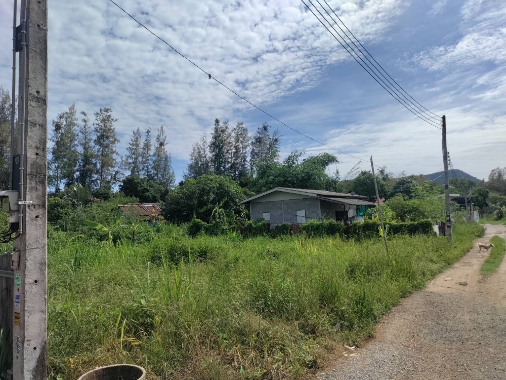 For SaleLandPattaya, Bangsaen, Chonburi : Beautiful land for sale urgently !!! Sattahip District, Chonburi, 150 square wah, sell 2.5 million baht, near Bang Saray Resort, Nong Nooch Tropical Garden, Yansangwararam Temple and Khao Chi Chan golf course side