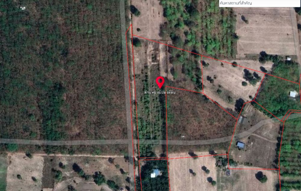 For SaleLandSi Sa Ket : Beautiful land for sale, suitable for planting or investment.