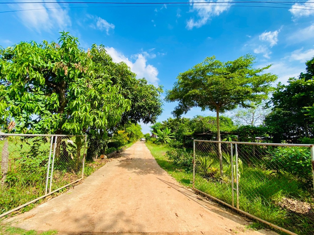 For SaleLandRoi Et : Land for sale, 5 rai of rice fields, mixed gardens with houses, Muang Hong, Chaturaphak Phiman, Roi Et.