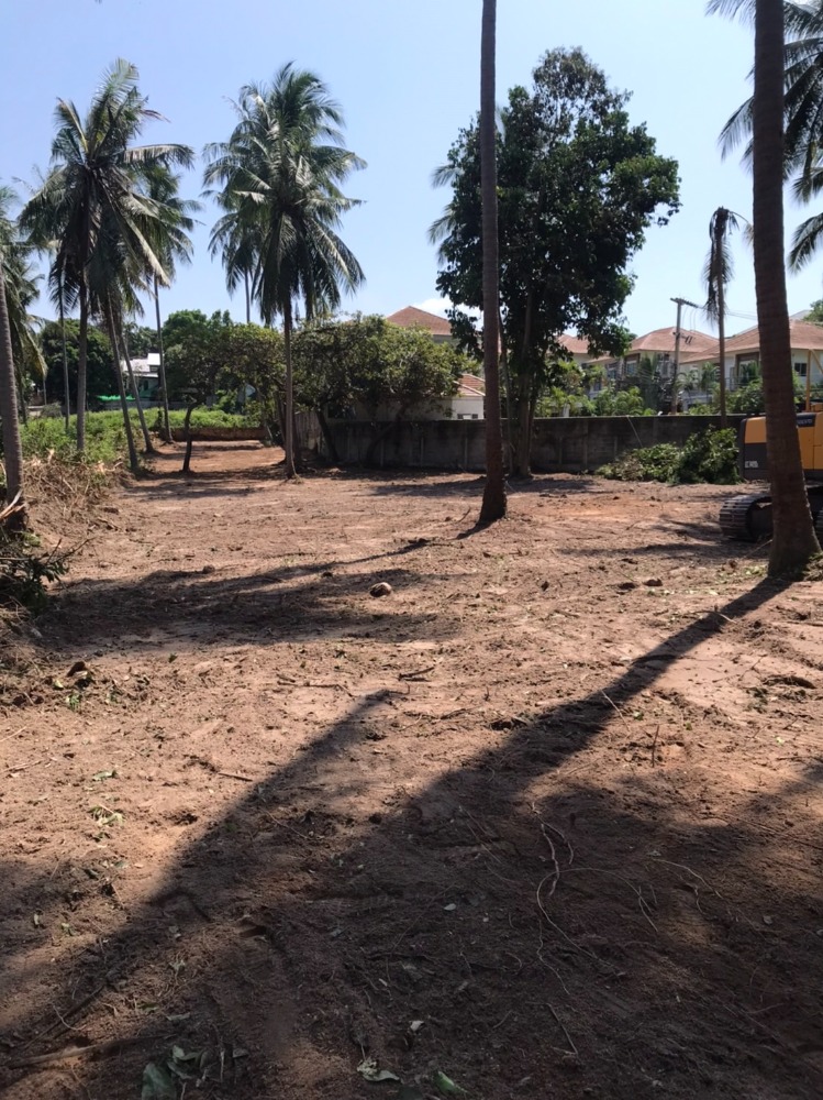 ให้เช่าที่ดินสมุย สุราษฎร์ธานี : Land for sale 1,096 sqm. Bophut koh samui , opposite ISS Samui , 10 minutes from chaweng beach, bangrak beach, samui airport