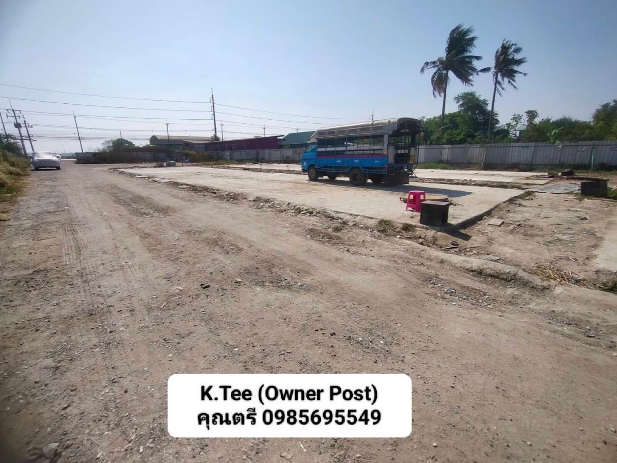 For RentLandChachoengsao : Beautiful land for rent, purple color, next to the roadside, 3.5 rai, Soi Wat Phimpha, Phimphawat Temple, Bang Pakong District, Chachoengsao Province.