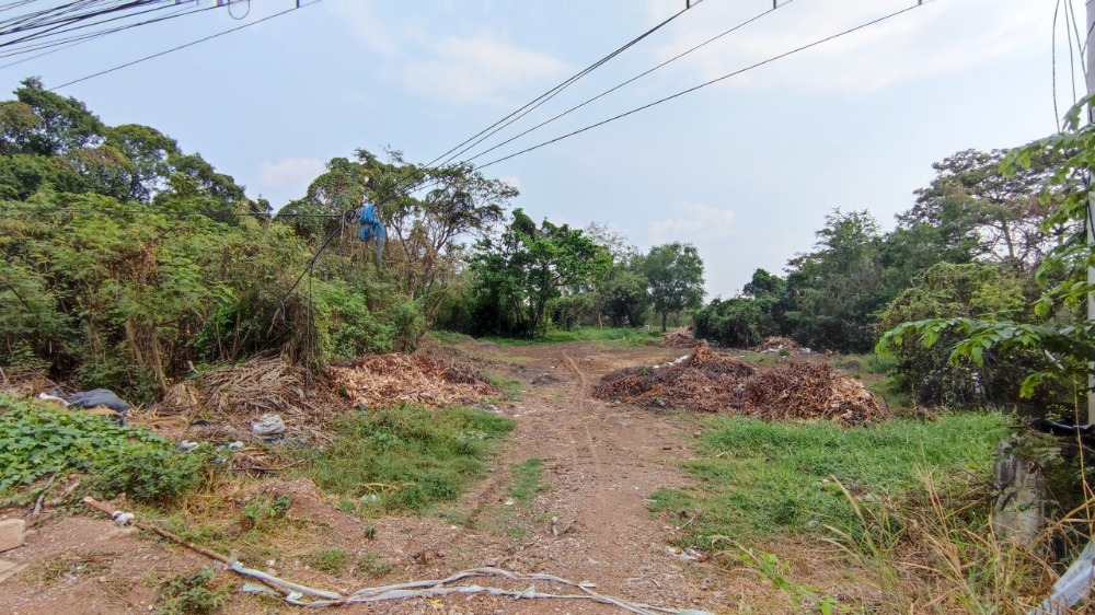 ขายที่ดินปทุมธานี รังสิต ธรรมศาสตร์ : ขาย ที่ดิน 73 ไร่ คลองหนึ่ง ปทุมธานี ติด ถ. เลียบคลองระพีพัฒน์ และห่างจาก ถ. พหลโยธิน เพียง 1 กม.