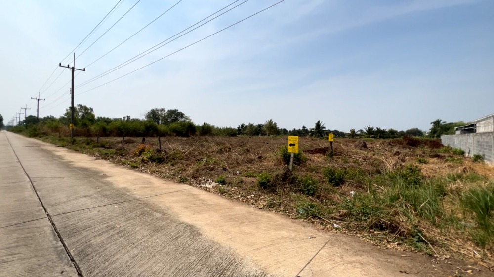 For SaleLandPattaya, Bangsaen, Chonburi : Land for sale, 2 rai 24 wa, behind the canal, with electricity and water supply Agricultural Park Project, Wat Luang Subdistrict, Phanat Nikhom District, Chonburi Province