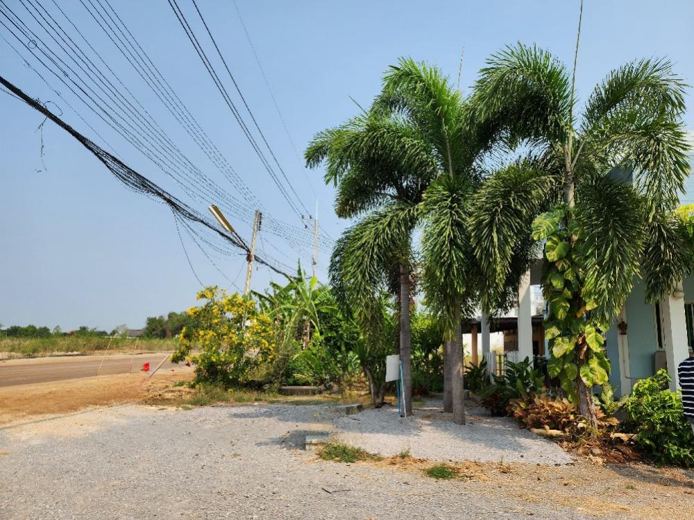 For SaleHouseHuahin, Prachuap Khiri Khan, Pran Buri : For sale: 4 houses with 1 ngan 57 sq m of land, on the road in Pran Buri District.