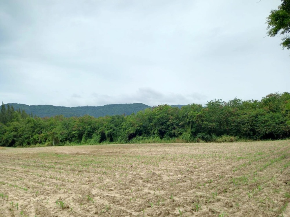 For SaleLandPak Chong KhaoYai : Land for sale 5-2-40 rai, Pak Chong, Khao Yai, good location, near tourist attractions Toscana, about 1 km.