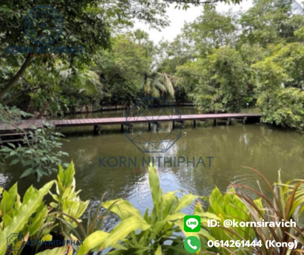 For SaleLandRama9, Petchburi, RCA : Land for sale 8-0-30.3 Rai Connect Ekamai and Thonglor Road | Suitable for buying property development