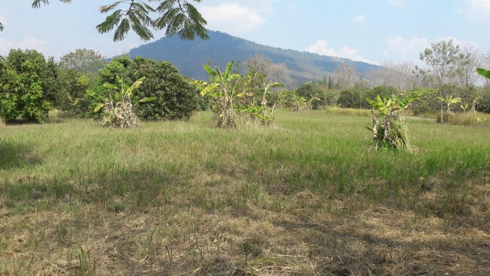 For SaleLandPak Chong KhaoYai : Land for sale in Khao Yai, Wang Sai, 52 rai, near Phu Phra Bat, Wang Sai Hill, Lapang Hill Pool Villa