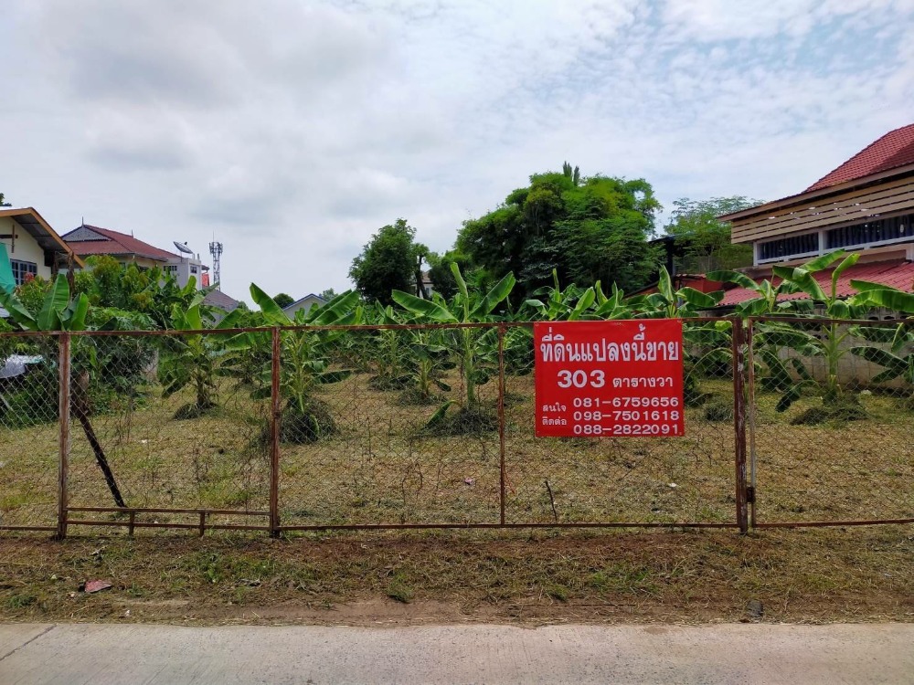 For SaleLandPhitsanulok : 🎉Beautiful land in the heart of Phitsanulok, 303 sq m, 6,500,000 million baht.