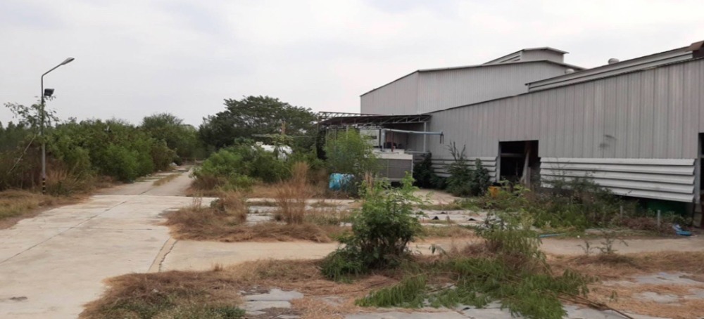 For RentFactoryLop Buri : Warehouse for rent - 33 Rais Lopburi, Tha Wung