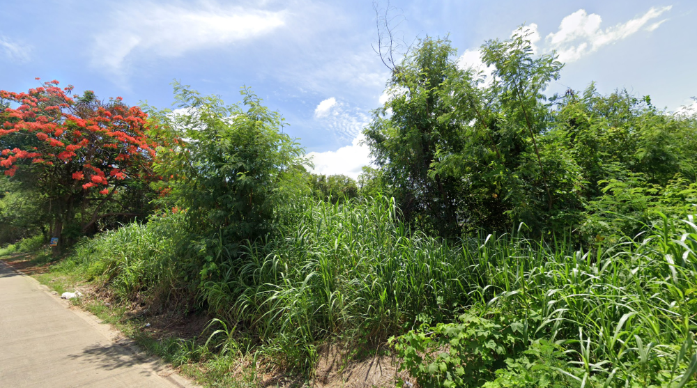 For SaleLandPhitsanulok : Beautiful plot of land for sale next to the road on 2 sides. The land is in a community area. The journey is very convenient.