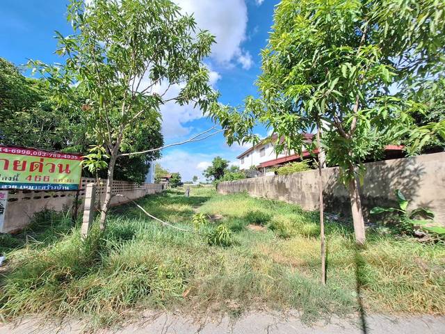 For SaleLandAng Thong : ghd000021 Land for sale, area 443 sq m, good feng shui, beautiful location, Si Ang Thong area, close to nature, next to the Chao Phraya River.