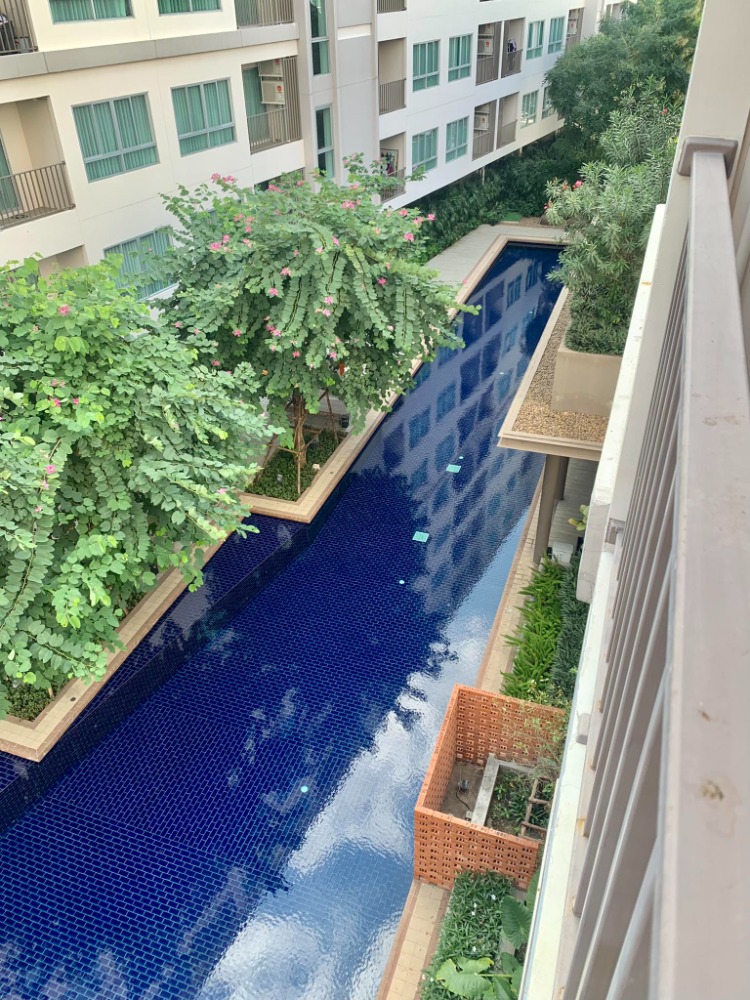 ขายคอนโดเชียงใหม่ : Dcondo Rin Chiangmai Pool View (ดีคอนโด ริน เชียงใหม่ วิวสระ) 2ห้องนอน2ห้องน้ำ