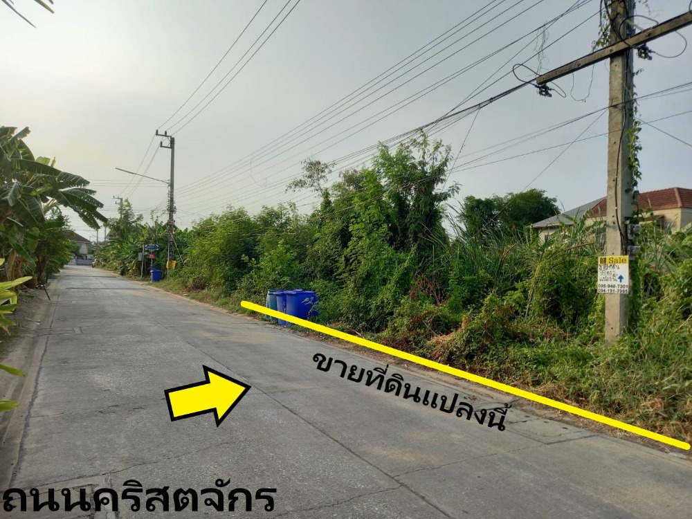 ขายที่ดินปทุมธานี รังสิต ธรรมศาสตร์ : ขายที่ดินซอยวัดนักบุญมาร์โก ถนนกรุงเทพฯ-ปทุมธานี  Ref. A01230501