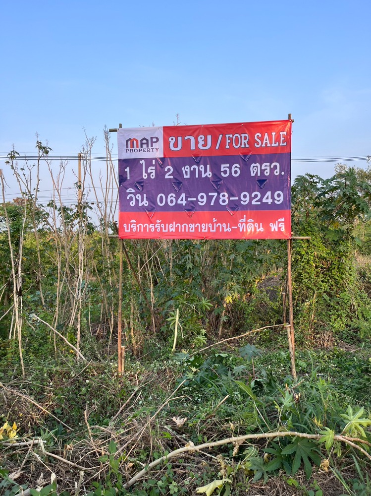 For SaleLandKorat Nakhon Ratchasima : Road, Highway No. 304, Mueang Pak Subdistrict, Pak Thong Chai District, Nakhon Ratchasima Province,