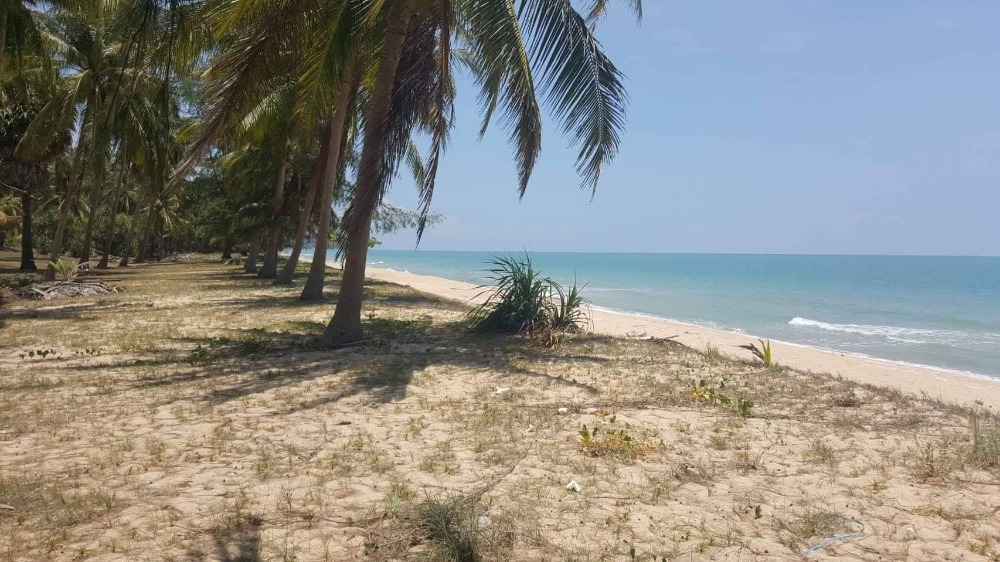 For SaleLandNakhon Si Thammarat : Beautiful plot of land for sale. The front faces a 4-lane road, the back faces the Gulf of Thailand. Close to many attractions