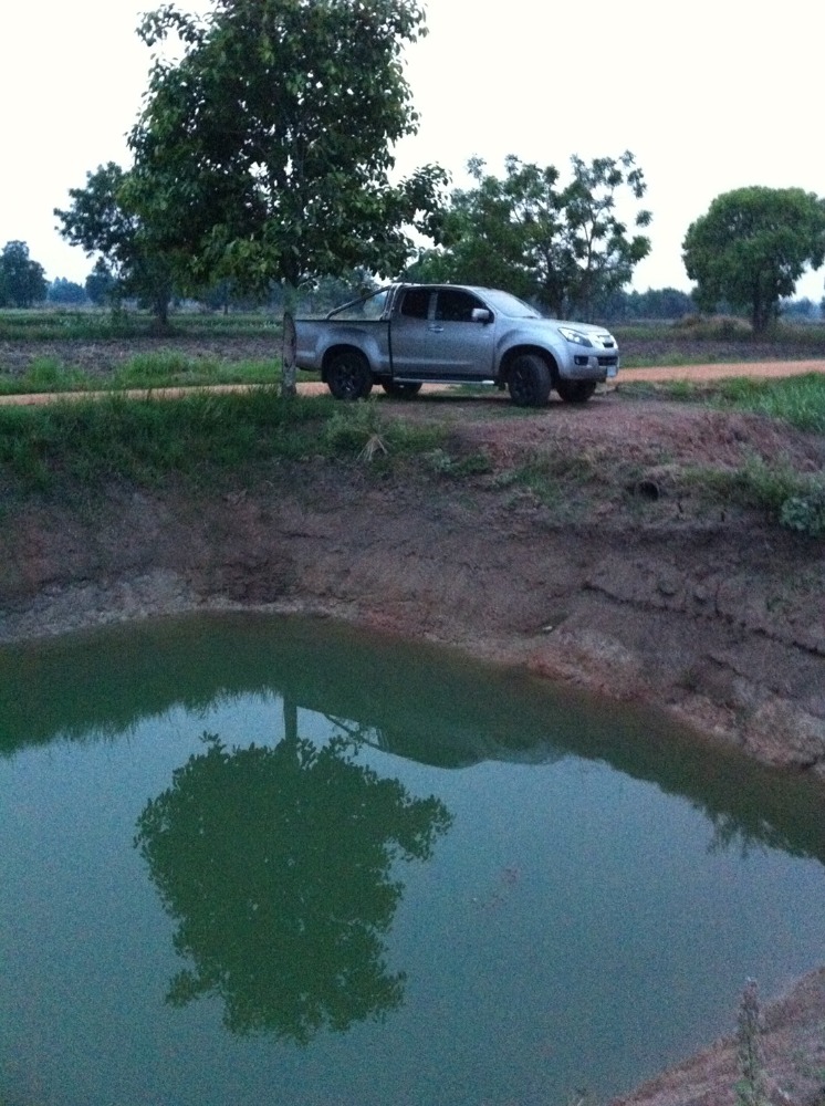 For SaleLandKorat Nakhon Ratchasima : At the garden farm with planting and farming