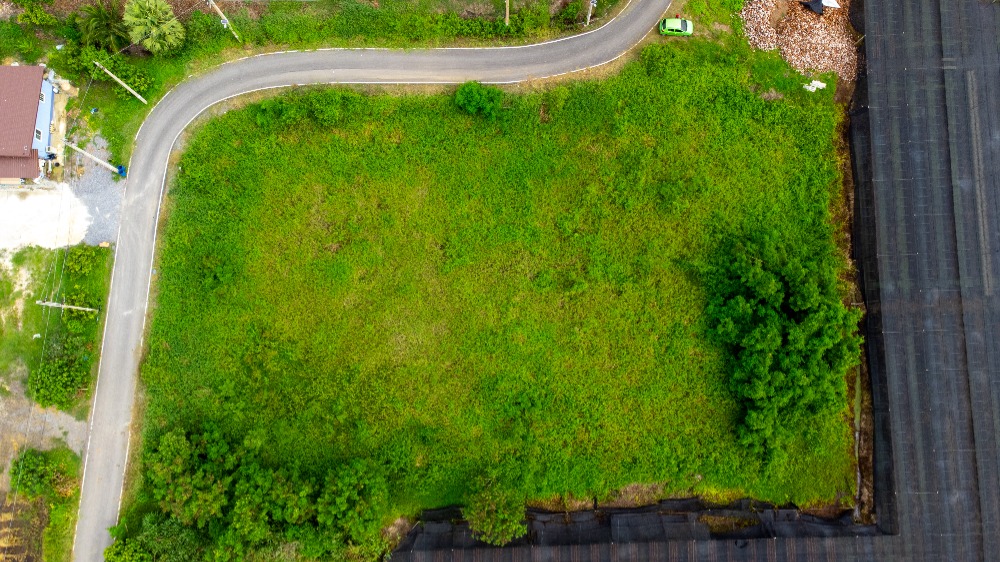 For SaleLandNonthaburi, Bang Yai, Bangbuathong : Land for sale Klong Ta Daeng Road. Soi Pracha Ruamjai, Ban Mai, Bang Yai, Nonthaburi