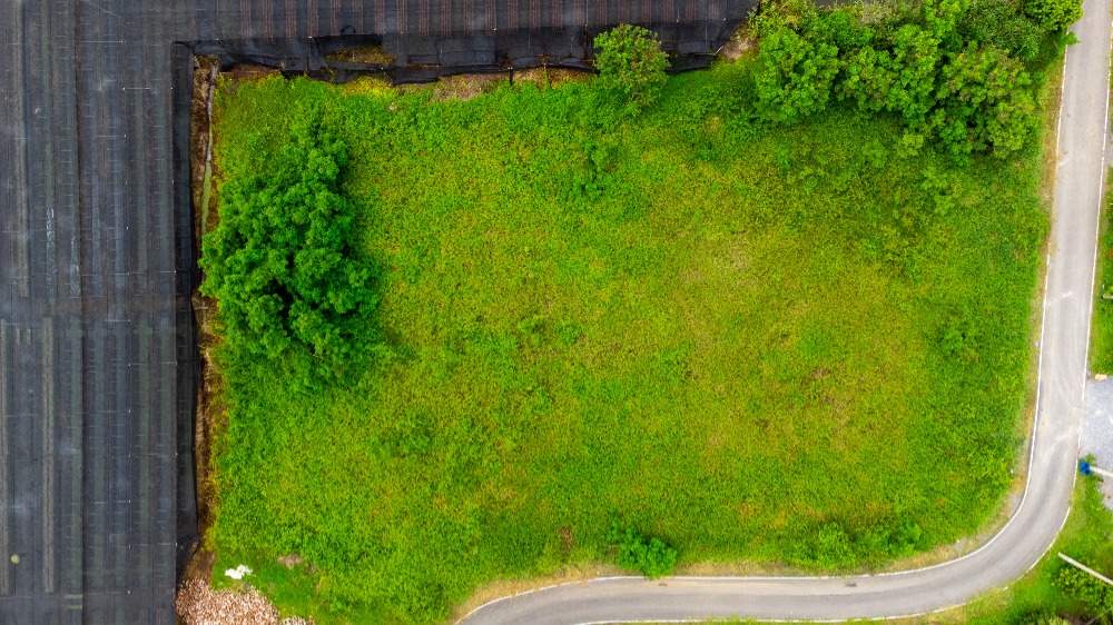 For SaleLandNonthaburi, Bang Yai, Bangbuathong : Land for sale Klong Ta Daeng Road. Soi Pracha Ruamjai, Ban Mai, Bang Yai, Nonthaburi