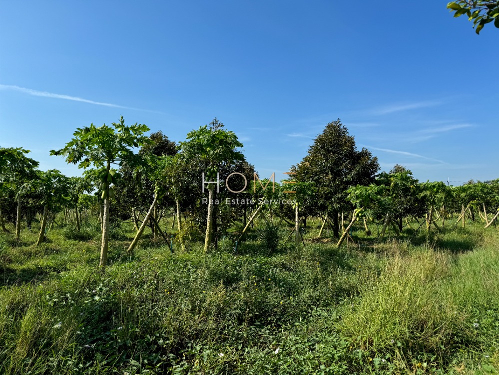 For SaleLandPrachin Buri : Land Prachinburi with Durian Plantation / 71,256 Square Metre (FOR SALE) COF053