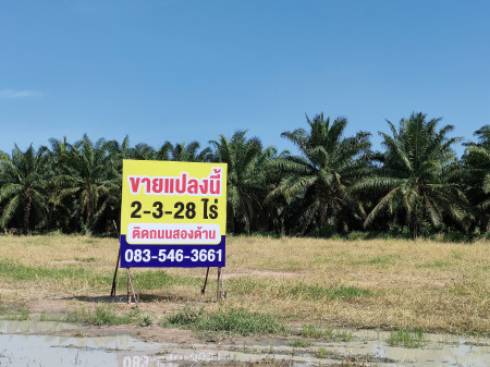 For SaleLandPattaya, Bangsaen, Chonburi : Land in Nong Chak, Ban Bueng, Chonburi, 1.49 million baht per rai, behind the village of Chanya Village, Jaruwan Road.