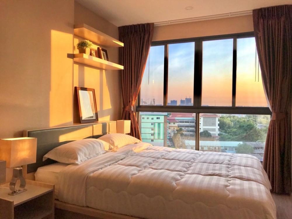 ให้เช่าคอนโดบางนา แบริ่ง ลาซาล : ปล่อยเช่า 1-Bedroom Ideo O2 ตึก A ห้องสวยวิวสระว่ายน้ำ รับลม ทิศใต้ พร้อมเข้าอยู่ต้นเมย. 68