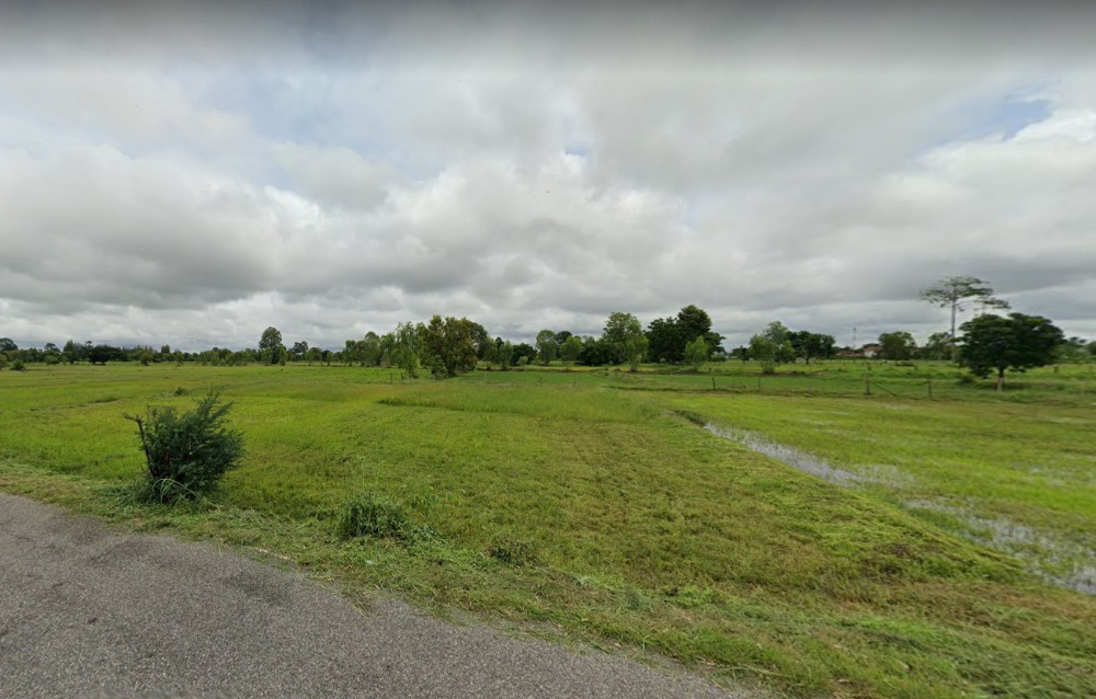 For SaleLandRoi Et : Land for sale in Mueang Roi Et District Land size 64 Rai behind the Robinson department store 306 m. front For Sale 2 million baht./rai Total 159.4 million baht