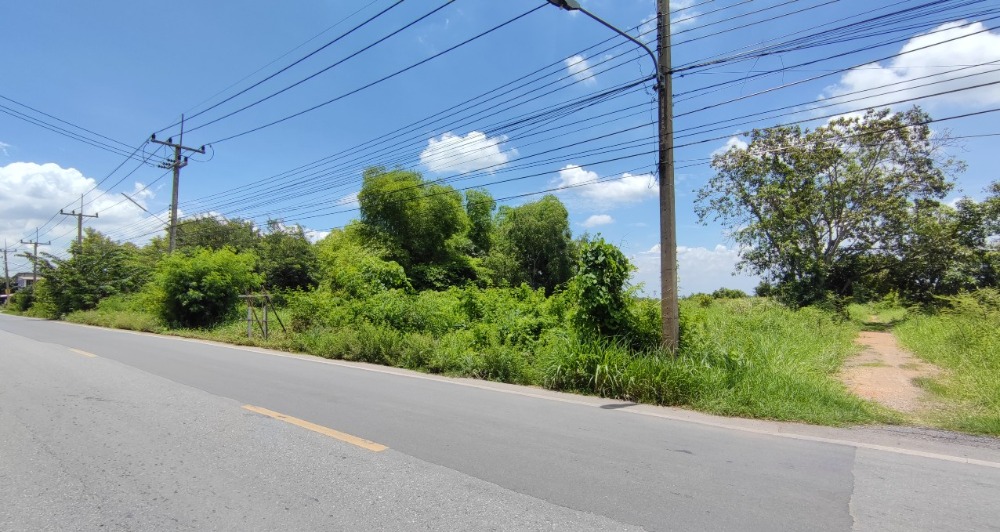 ขายที่ดินปทุมธานี รังสิต ธรรมศาสตร์ : ขาย ที่ดิน 4 ไร่ ปทุมธานี คลองหลวง คลอง 5 ฝั่งตะวันออก ติดถนนเลียบคลอง สาธารณูปโภคครบ