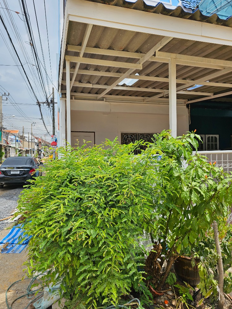 For SaleTownhouseRamkhamhaeng, Hua Mak : House for sale 088-199-7826 Ramkhamhaeng 24 Hua Mak 27 with 3 bedrooms, 2 bathrooms, convenient transportation.