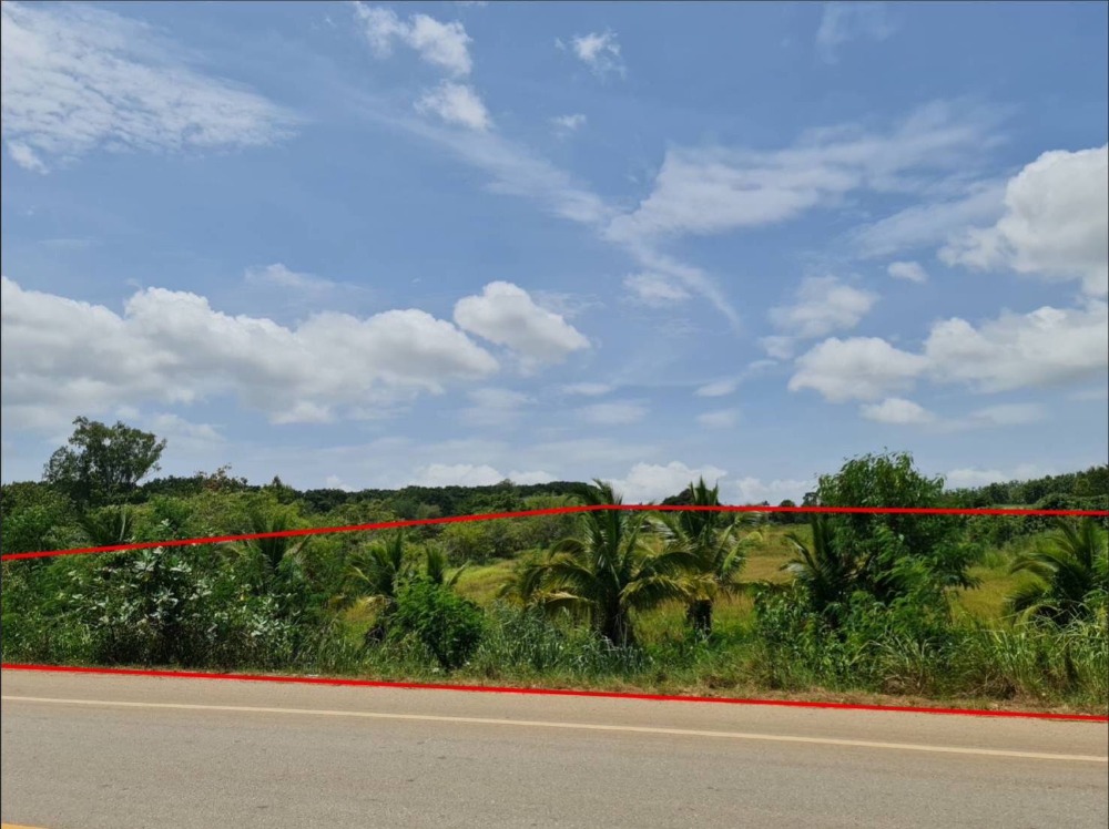 For SaleLandPak Chong KhaoYai : #Land plot for sale, 23 rai 50 sq m., with 1 2-storey residential house and 1 single-storey house #next to Yothathikan Road, Khlong Muang Subdistrict #Pak Chong District #Nakhon Ratchasima Province