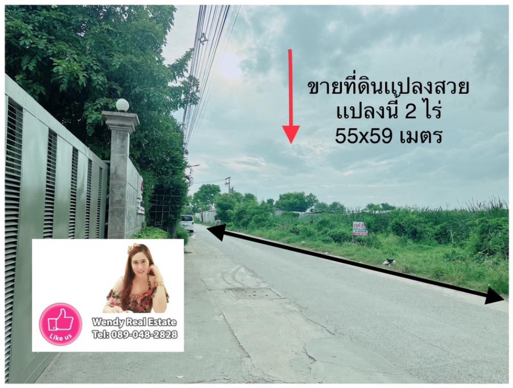 For SaleLandPathum Thani,Rangsit, Thammasat : Beautiful land for sale, 2 rai, Khlong Luang, Khlong 2, Soi Bongkot 42, Pathum Thani, special discount price