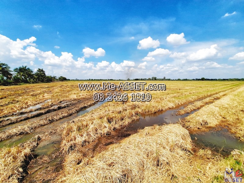 For SaleLandNakhon Pathom : Rice field land for sale, Kratip area, Ban Hua Don Kha, Huai Muang, Kamphaeng Saen, Nakhon Pathom: near Bang Luang Market, R.S.122: 72-0-92 rai: CODE NN-91283